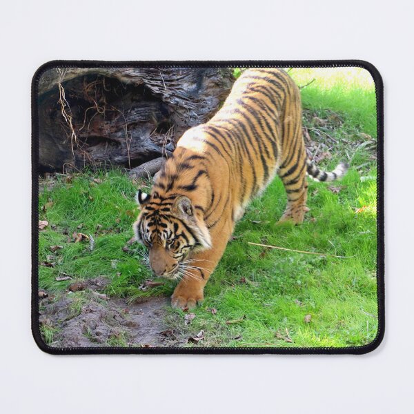 Item preview, Tigre designed and sold by ShutterbugBttns.