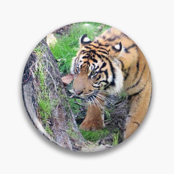 Item preview, Tiger designed and sold by ShutterbugBttns.