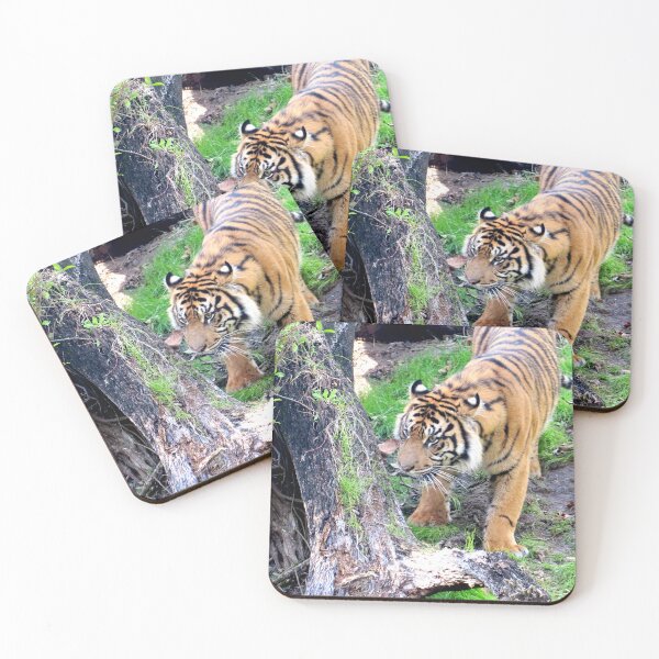 Item preview, Tiger designed and sold by ShutterbugBttns.