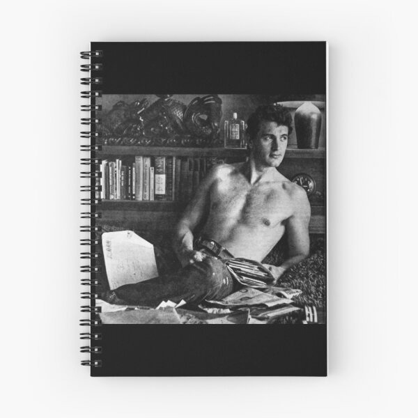 Aperçu de l'œuvre Rock Hudson bel homme gay créée et vendue par stevepaint.