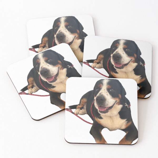 Item preview, Bailey the Swissy designed and sold by jvieira45.