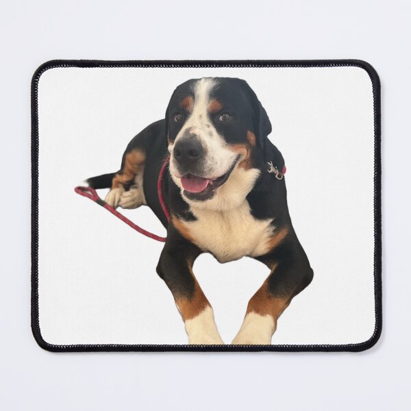 Item preview, Bailey the Swissy designed and sold by jvieira45.