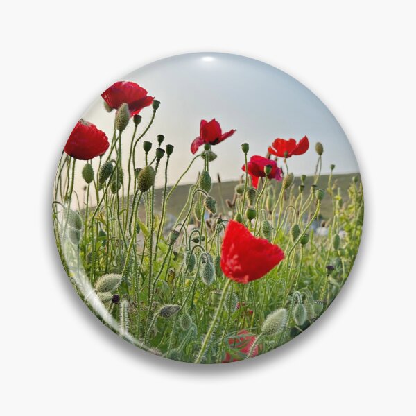 Item preview, Cornish poppies designed and sold by BellePilcher.