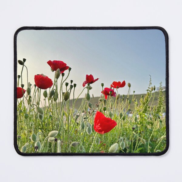 Item preview, Cornish poppies designed and sold by BellePilcher.