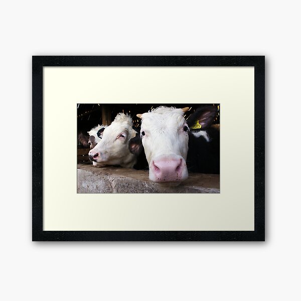 Hello Framed Art Print