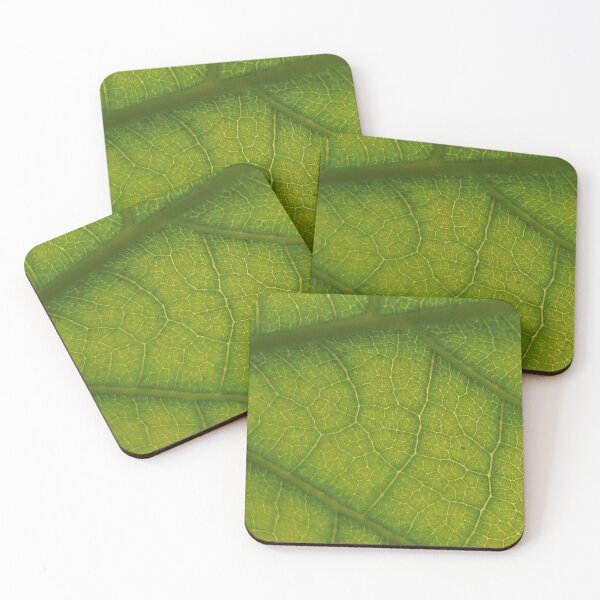 Item preview, Vegetable grid designed and sold by DustandNature.