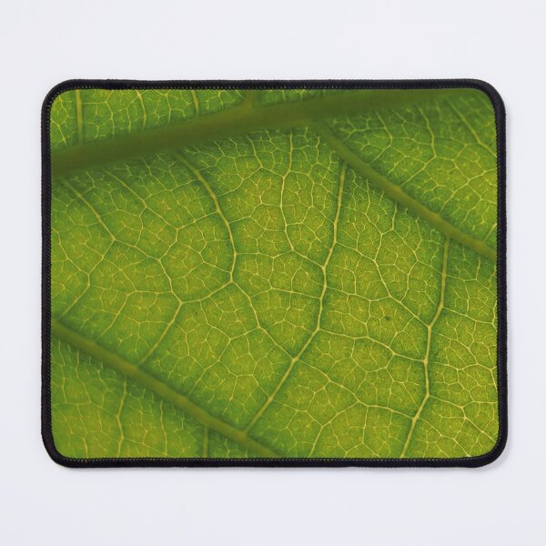 Item preview, Vegetable grid designed and sold by DustandNature.