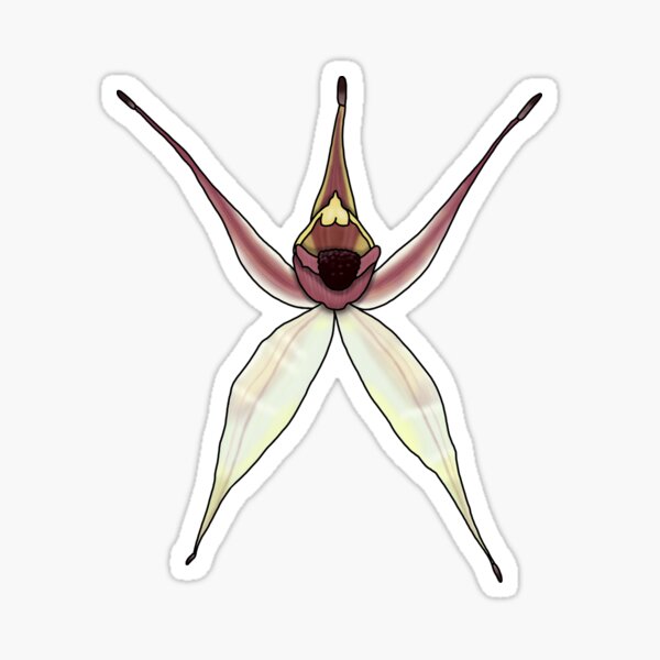 Item preview, Leaping Spider Orchid designed and sold by JoWillmot.