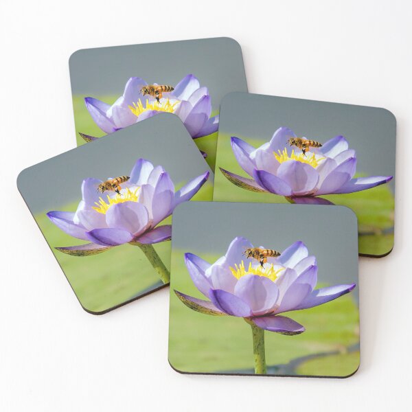 Item preview, "Bee’s Delight on a Kakadu Lily" designed and sold by Peter Keepence.