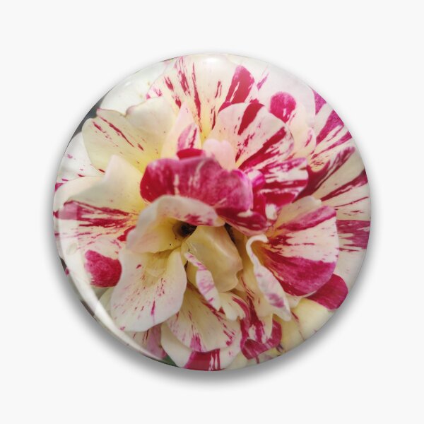 Item preview, Painted Rose  designed and sold by SCTBUFFALOPHOTO.