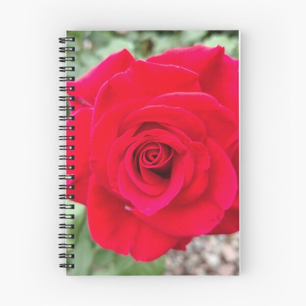 Item preview, In Love designed and sold by SCTBUFFALOPHOTO.