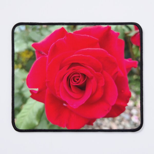 Item preview, In Love designed and sold by SCTBUFFALOPHOTO.