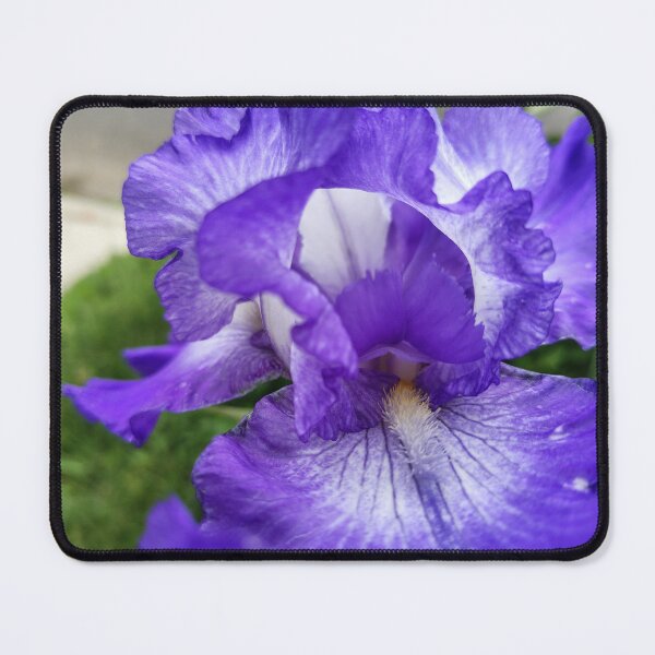 Item preview, Iris Delight  designed and sold by SCTBUFFALOPHOTO.