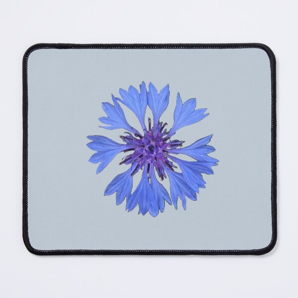 Item preview, Blue Cornflower, Bachelor's Button designed and sold by STEM Factually.