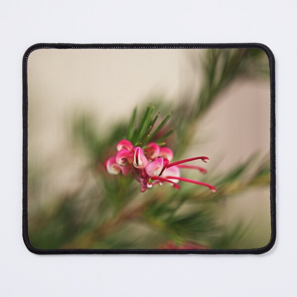 Item preview, Winter Australian Grevillea Flower designed and sold by Joy Watson - Natural Light Photography .