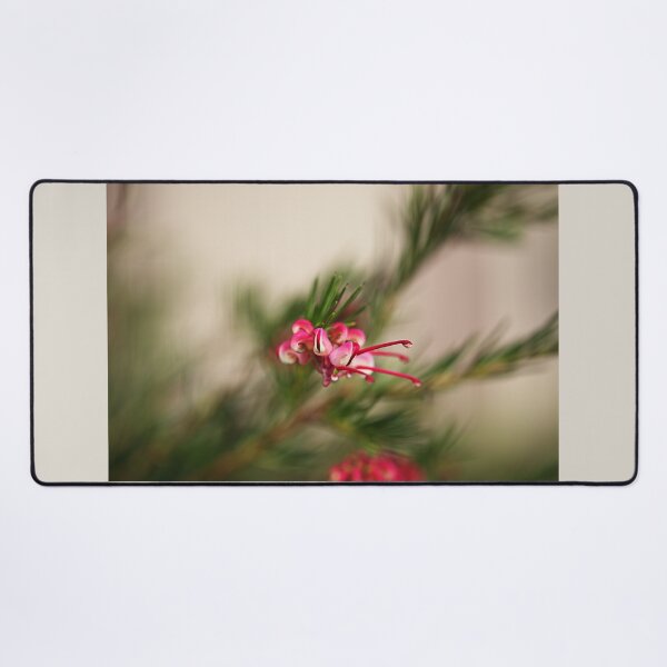Item preview, Winter Australian Grevillea Flower designed and sold by Joy Watson - Natural Light Photography .