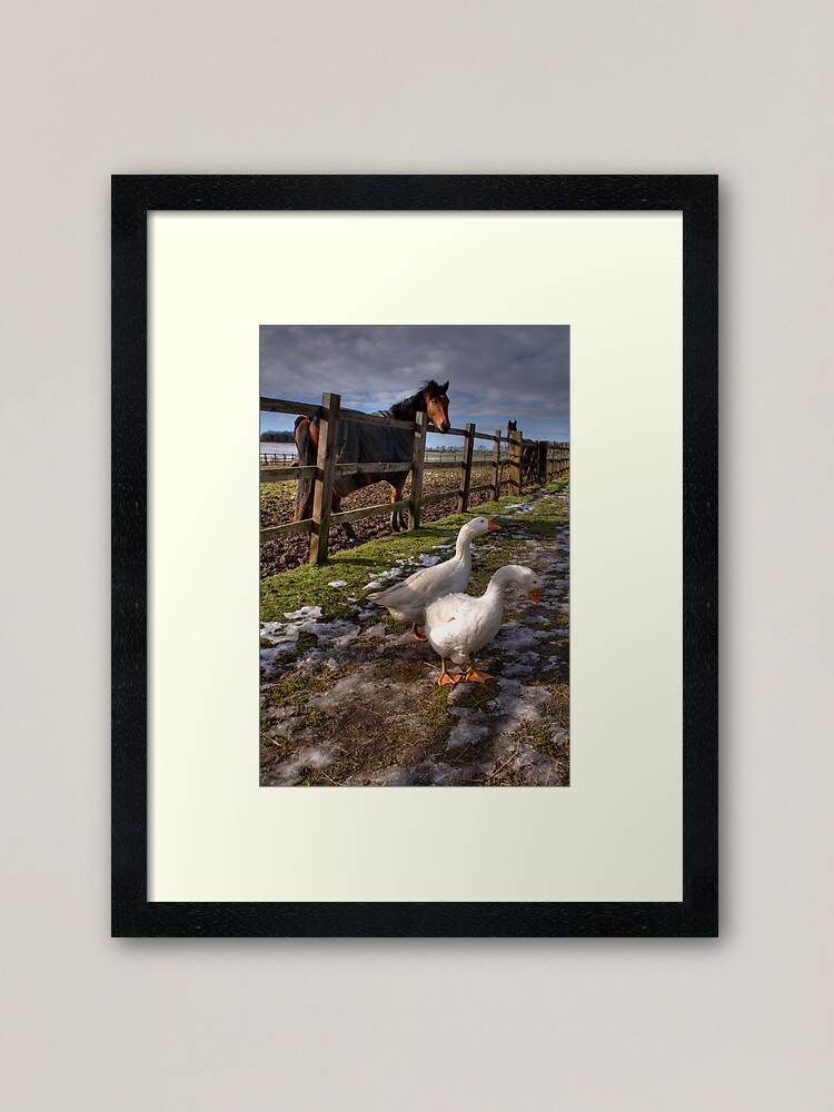 Alternate view of Down on the Farm Framed Art Print