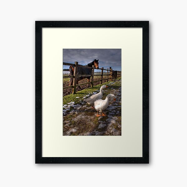 Down on the Farm Framed Art Print