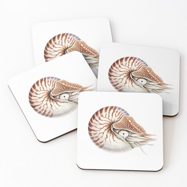 Item preview, chambered nautilus designed and sold by 4rtistcDrift.