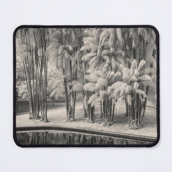 Item preview, KLCC Park Bamboo designed and sold by David Bowman.