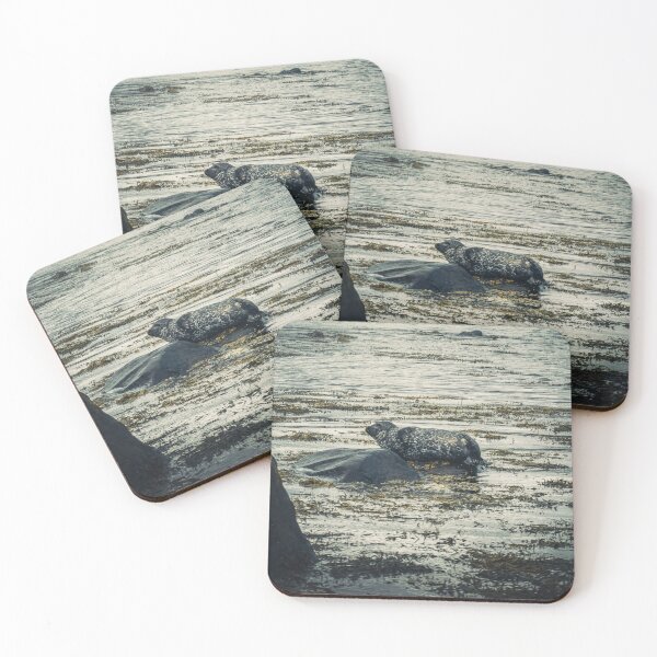 Item preview, Seals at Snaefellsnes Peninsula - Frames from Iceland #65 designed and sold by LucaRamble.