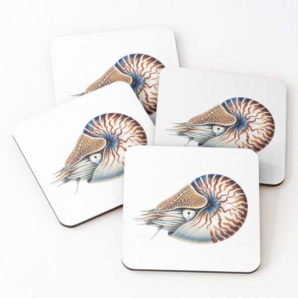 Item preview, chambered nautilus designed and sold by 4rtistcDrift.