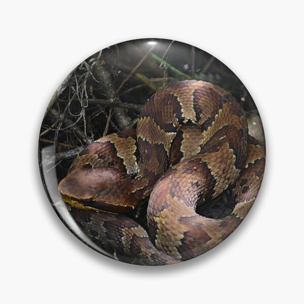 Item preview, Copperhead Snake designed and sold by MercerImages.