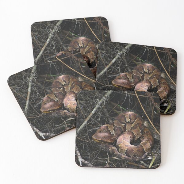 Item preview, Copperhead Snake designed and sold by MercerImages.
