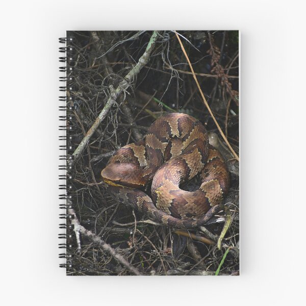 Item preview, Copperhead Snake designed and sold by MercerImages.