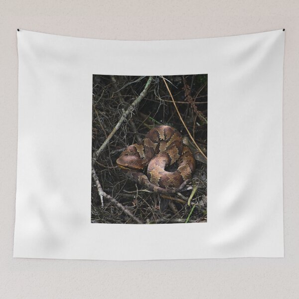 Item preview, Copperhead Snake designed and sold by MercerImages.