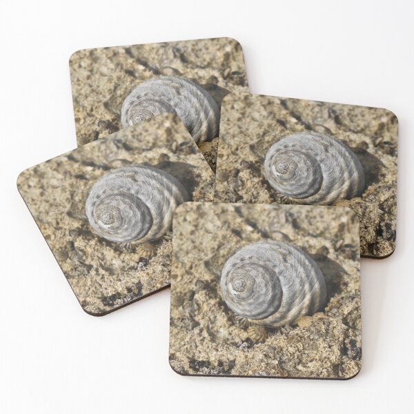 Item preview, Shelling Out in 2025 designed and sold by ezcreate.media.