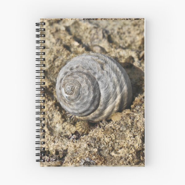 Item preview, Shelling Out in 2025 designed and sold by ezcreate.media.