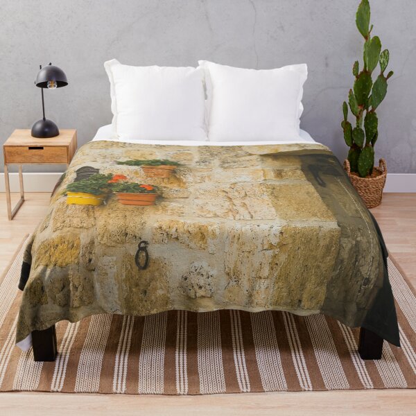 Item preview, Santiago Path – Old House Wall with Vibrant Flowers designed and sold by MetaModel Editions.