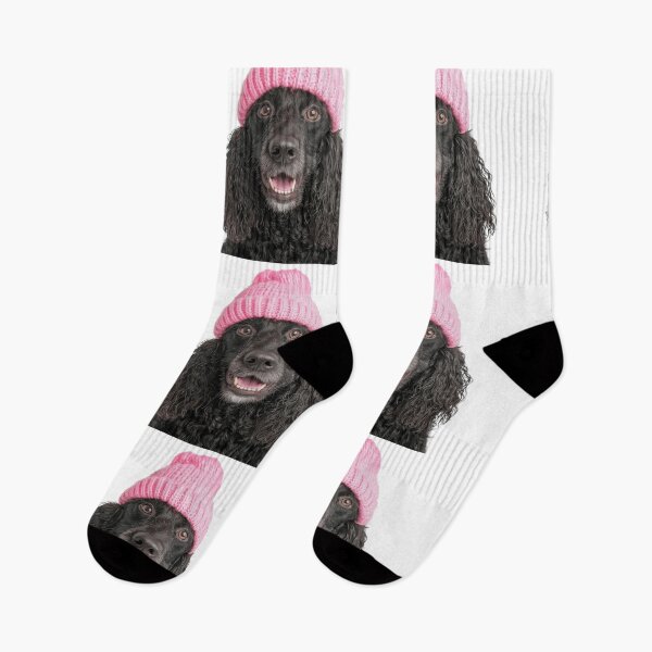 Item preview, Cozy Irish Water Spaniel dog Wearing Pink Winter Hat Trendy Animal Fashion Artwork designed and sold by LazyOwlStore.