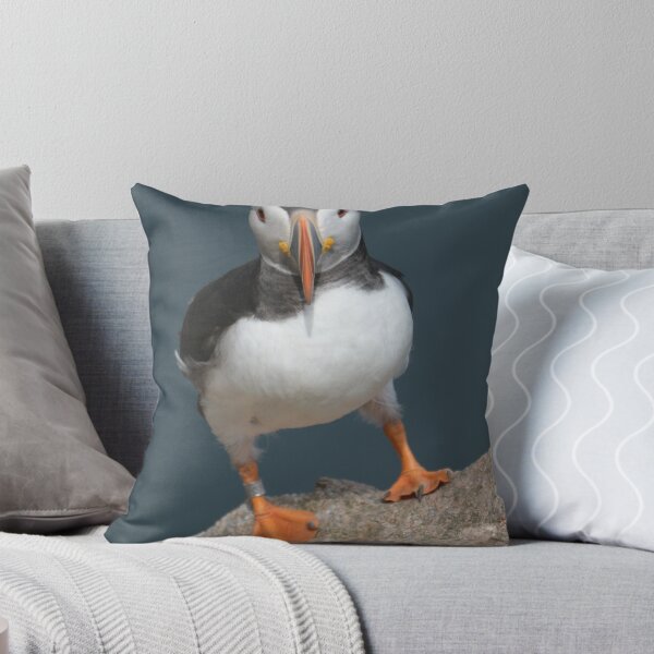 Item preview, Puffin ,Aberdeenshire, Scotland designed and sold by Derren Jones.
