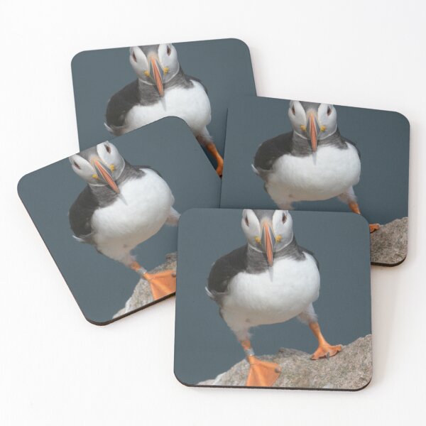 Item preview, Puffin ,Aberdeenshire, Scotland designed and sold by Derren Jones.