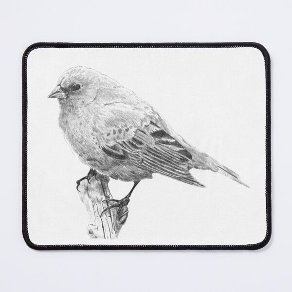 Item preview, Indigo bunting Pencil Drawing Wall Art designed and sold by DavidWangArt.