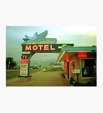 Blue Swallow Photographic Print
