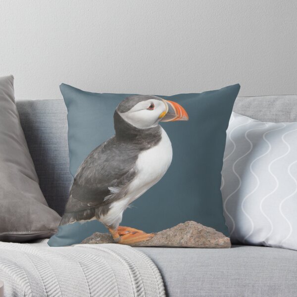 Item preview, Puffin , Aberdeendshire . Scotland . designed and sold by Derren Jones.