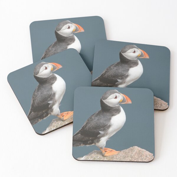 Item preview, Puffin , Aberdeendshire . Scotland . designed and sold by Derren Jones.