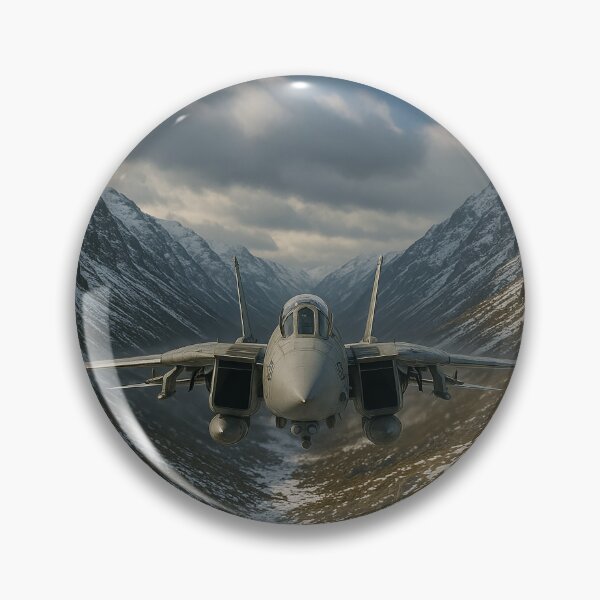 Artikelvorschau, Grumman F14 Tomcat entworfen und verkauft von Airpower Art.