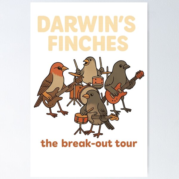 Item preview, Darwin's Finches designed and sold by Oikoshop.