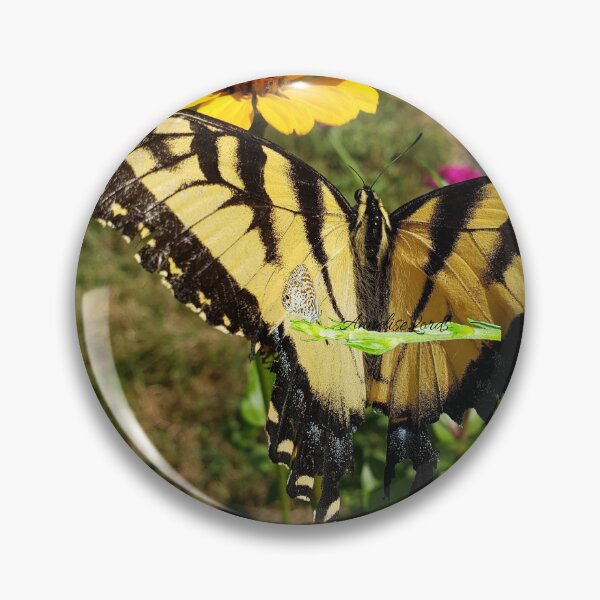Item preview, Tiger Swallowtail Butterfly Feeding The Earth Though in Pain  RZ 1A 8/19 designed and sold by Unlimited Imagination .