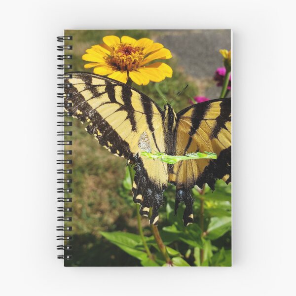 Item preview, Tiger Swallowtail Butterfly Feeding The Earth Though in Pain  RZ 1A 8/19 designed and sold by Unlimited Imagination .