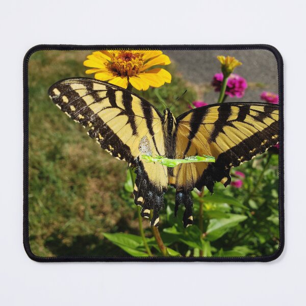 Item preview, Tiger Swallowtail Butterfly Feeding The Earth Though in Pain  RZ 1A 8/19 designed and sold by Unlimited Imagination .