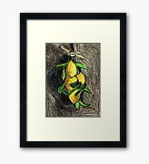 Lemons On The Branch Framed Print