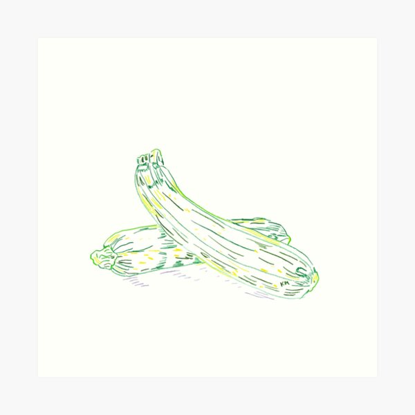 Two Zucchini in color Art Print