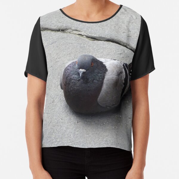 Majestic pigeon resting Chiffon Top