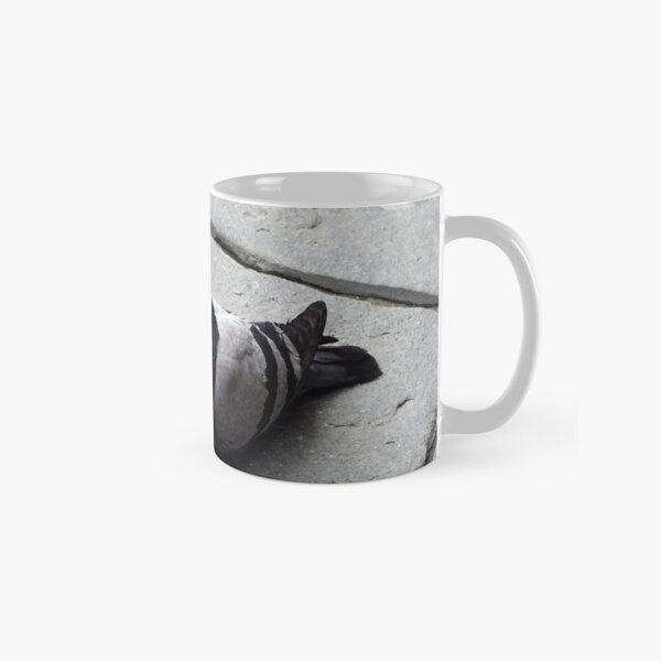 Majestic pigeon resting Classic Mug