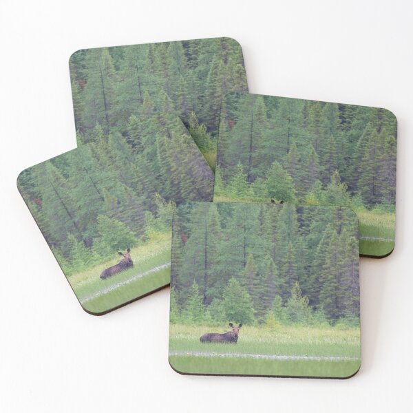 Item preview, Moose in the Marsh, Opeongo Lake, Algonquin Park designed and sold by James Cumming.